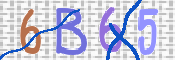 CAPTCHA-Bild